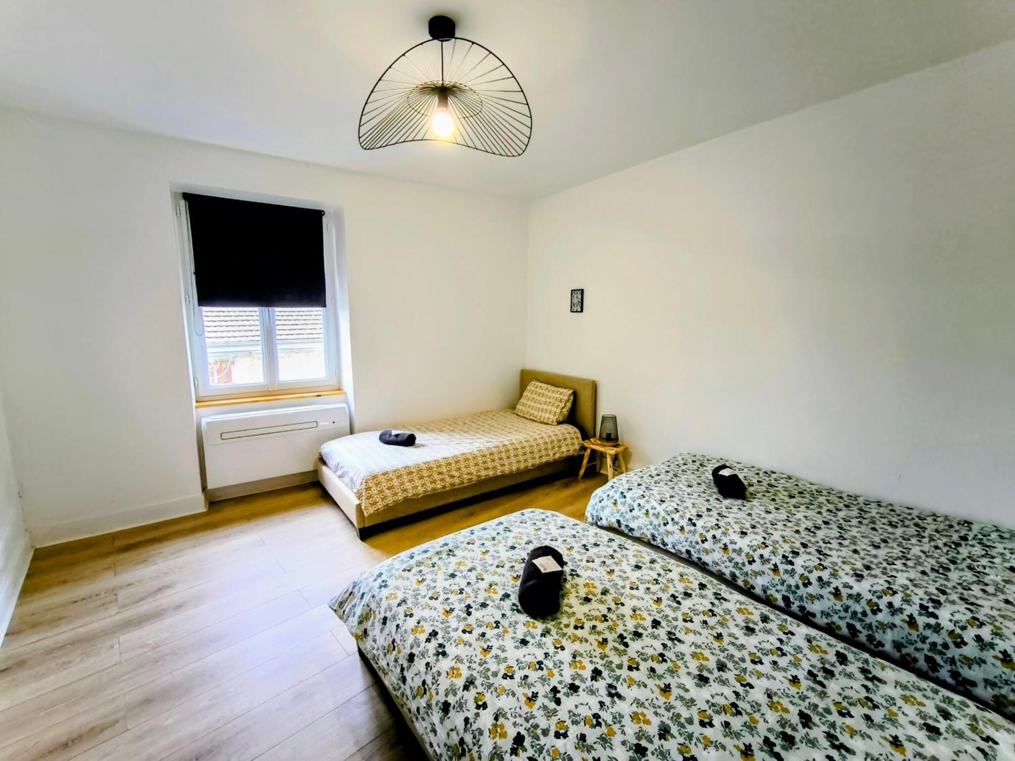 Chez Lulu - 5 Lits- Proche Cnpe - Gare Apartment Amberieu-en-Bugey Bagian luar foto